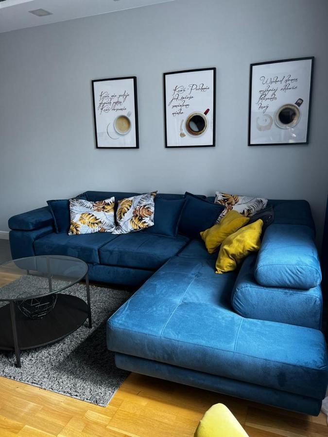 Family & Business Elegant Apartments Ul Astronautow Centrum Downtown - 3 Bedroom, Parking Келце Екстериор снимка